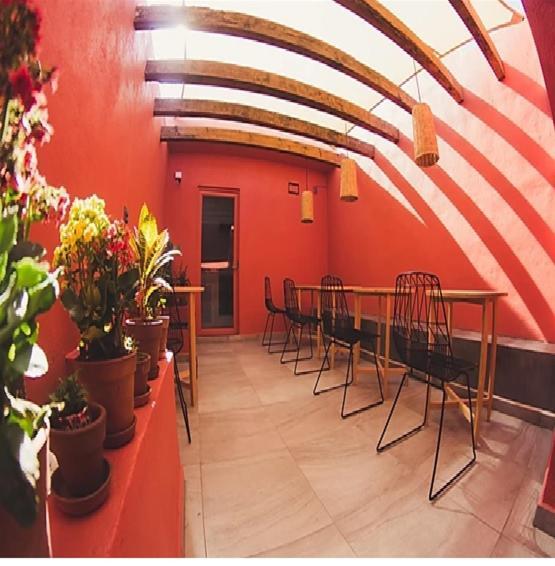 Hotel Lu de Anda San Luis Potosí Exterior foto